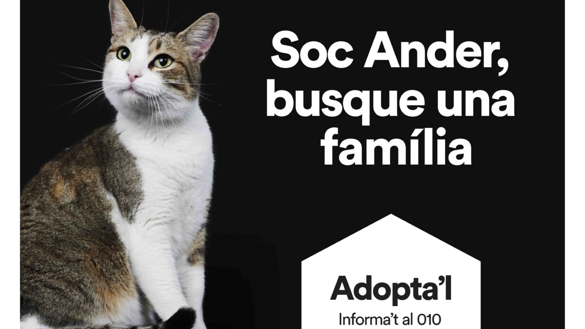 Cartell Adopta